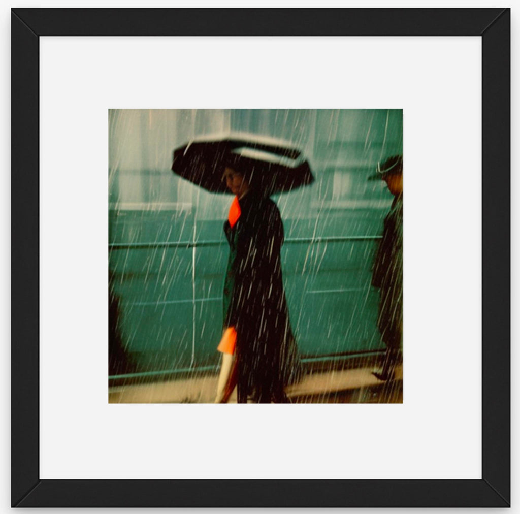 Shelter from the Storm