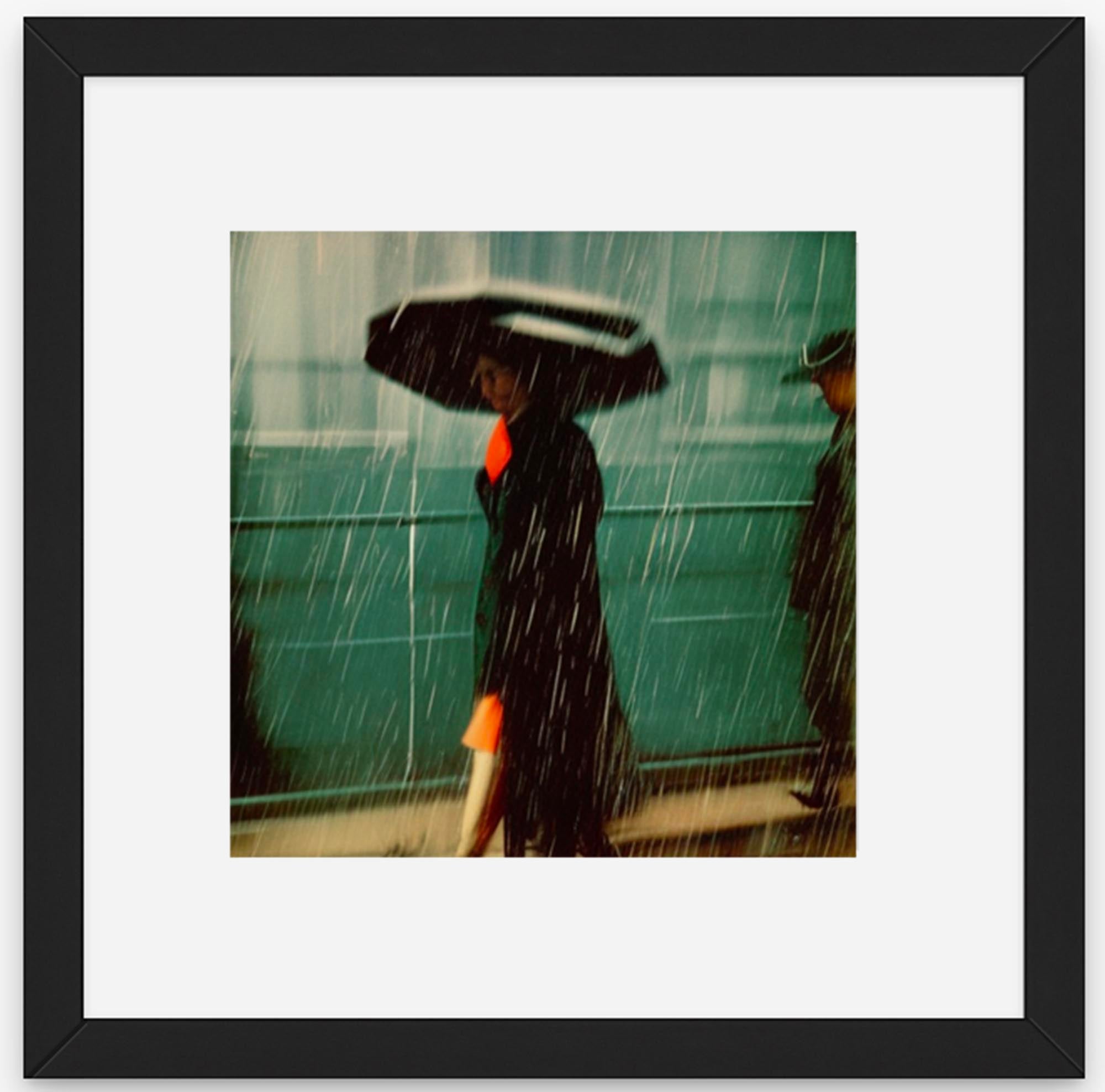 Shelter from the Storm
